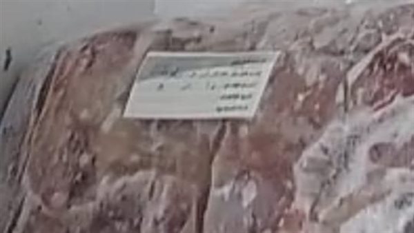 ضبط 100 كيلو لحوم منتهية الصلاحية داخل مطعم شهير بطنطا