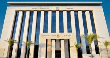 إنشاء مجلس أعلى لتنمية مهارات الموارد البشرية.. وقانون العمل يحدد مهامه