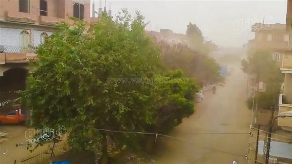 الغبار يضرب الغربية، رياح محملة بالأتربة وانخفاض الرؤية وتحذيرات عاجلة للمواطنين (فيديو)