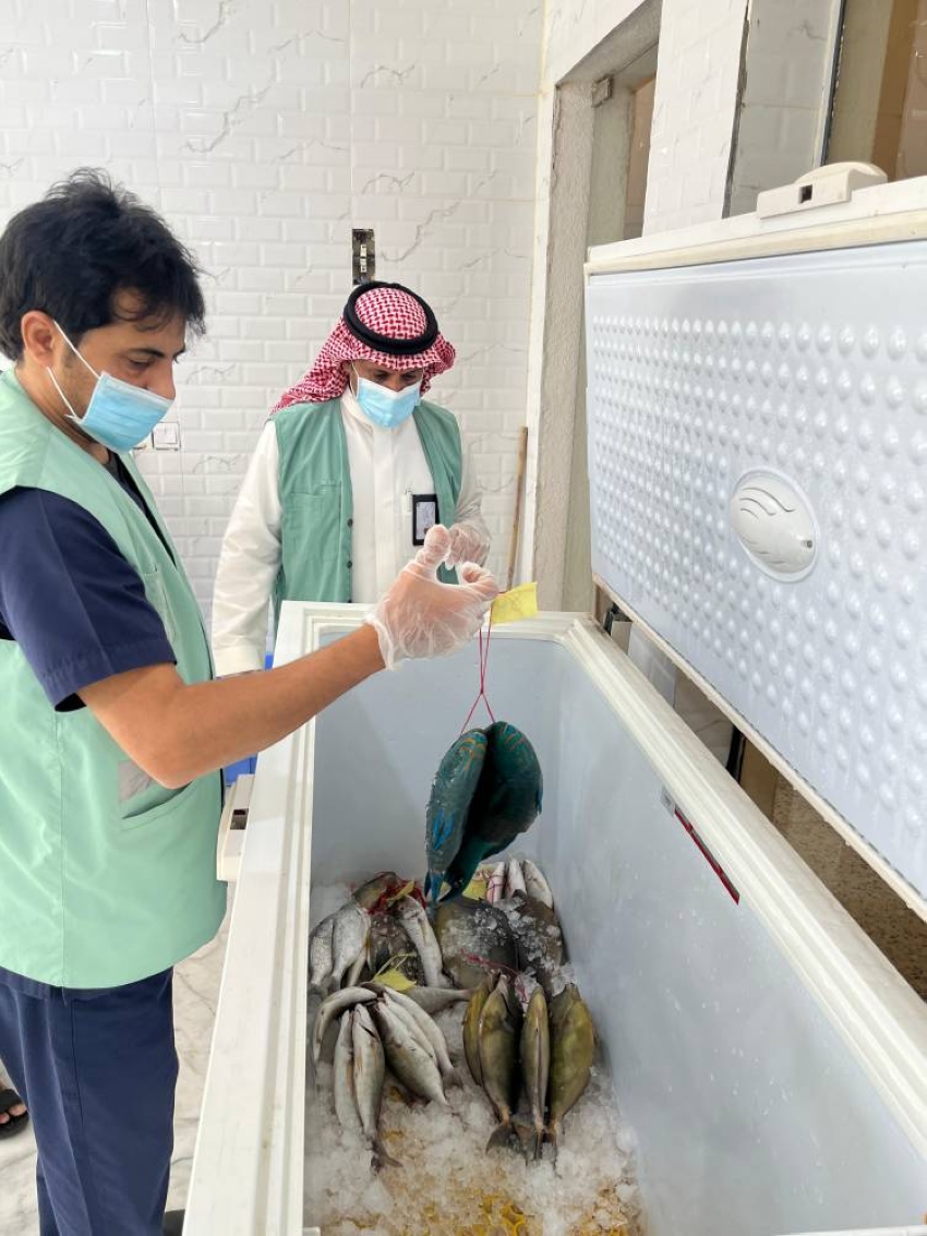تكثيف الرقابة على أسواق رابغ مع بدء حظر صيد أسماك الناجل والطرادي