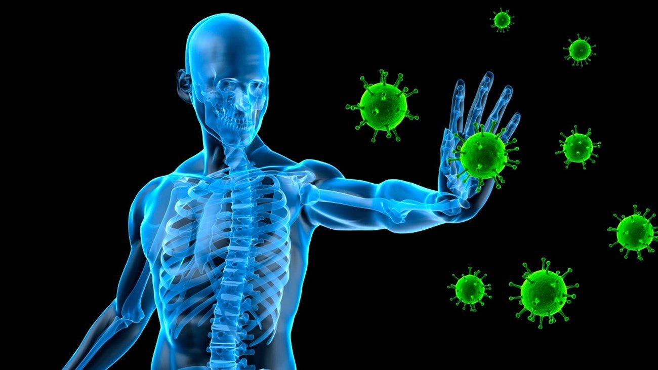 الجهاز المناعي مفتاح الحياة الصحية.. عادات بسيطة تصنع فارقا كبيرا