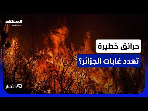 حالة استنفار كبيرة لفرق الحماية المدنية في الجزائر للسيطرة على موجة حرائق بالبلاد