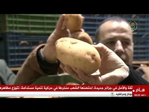 برنامج المؤشر ليوم 17-02-2026