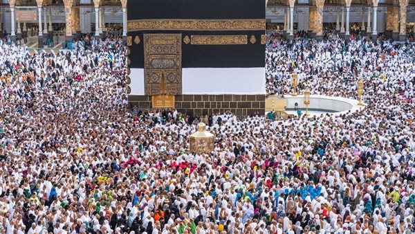 رئيس لجنة السياحة الدينية: مستمرون في المتابعة وحل أي مشاكل حتى عودة آخر حاج