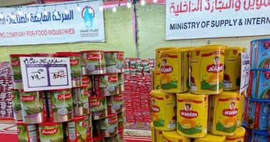 أستاذ أقتصاد: الدولة المصرية حائط صد لمواجهة الأزمات العالمية