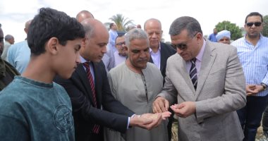 محافظ قنا: نستهدف زيادة إنتاجية القمح هذا العام