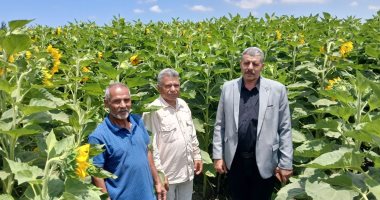 زراعة الإسماعيلية تواصل جولاتها لمتابعة المحاصيل خلال عيد الأضحى