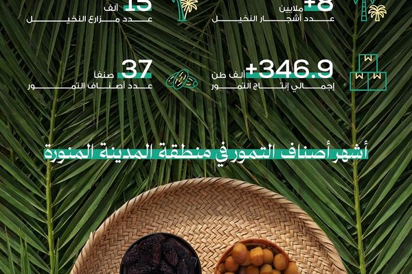 تمور المدينة المنورة.. جودة عالية وإرث تاريخي يمتد منذ الهجرة النبوية
