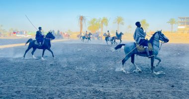 مهارة وسيطرة على الخيل.. عروض الخيالة تبهر جمهور مولد الشيخ عتمان بقنا