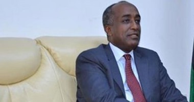 السيرة الذاتية للسفير محمد أبو بكر نائب وزير الخارجية للشئون الأفريقية