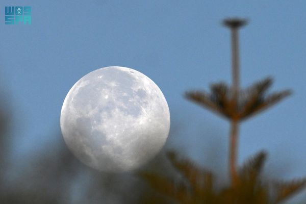 «بدر الفراشة» يزيّن سماء المملكة