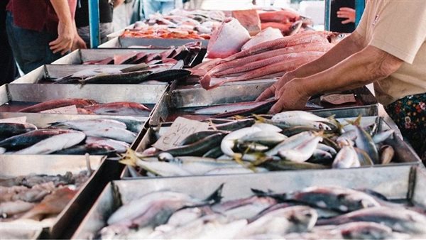 سعر السمك اليوم، ارتفاع البلطي والكابوريا وانخفاض المكرونة في ثاني أيام رمضان