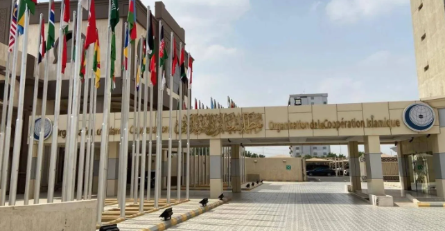 منظمة التعاون الإسلامي تدين الاعتداءات الإسرائيلية المستمرة على سوريا