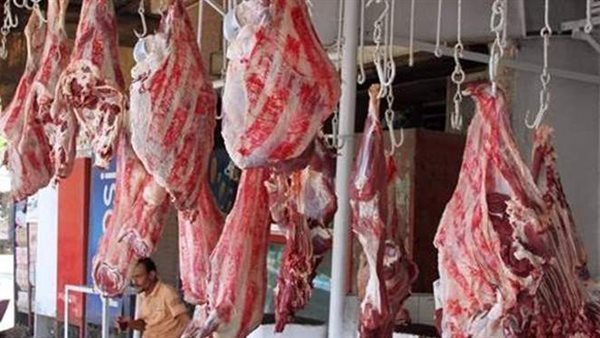 شعبة القصابين تحسم الجدل بشأن زيادة 50 جنيهًا في أسعار العجول