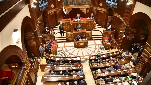 مجلس الشيوخ يناقش خطة التنمية الاقتصادية للعام المالي الجديد بعد عيد الأضحى