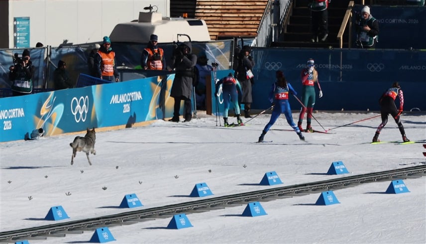 كلب يخترق منافسات التزلج الحر للسيدات