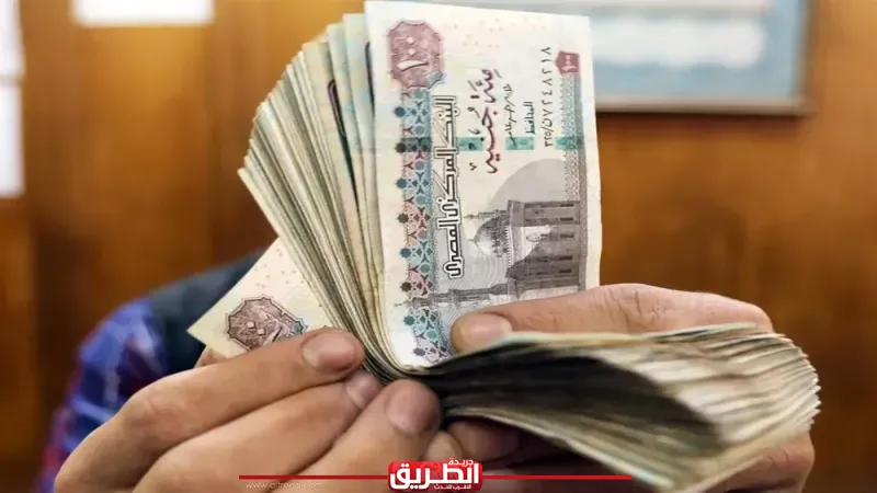 تفاصيل الحزمة الاجتماعية الجديدة وموعد زيادة مرتبات العاملين بالدولة