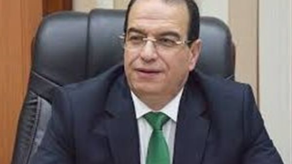 خلال مناقشة اجراء انتخابات المحليات.. رئيس محلية الشيوخ: التقسيم الإداري بدأ منذ عهد مينا موحد القطرين