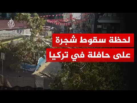 شاهد | لحظة سقوط شجرة على حافلة بولاية عثمانية التركية