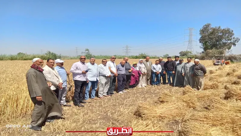 زراعة البحيرة تنظم يوم حصاد للقمح بإيتاي البارود وتؤكد: إنتاجية أعلى بفضل الترشيد