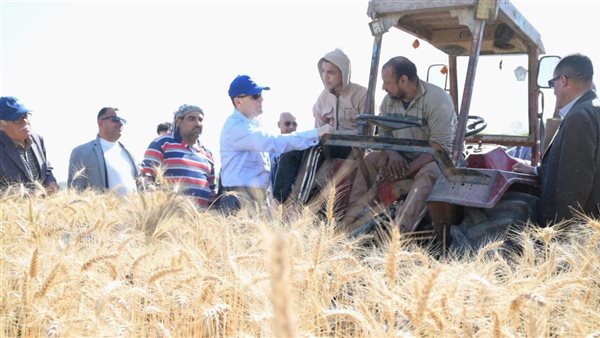 محافظ الغربية يعلن بدء موسم حصاد القمح 2026