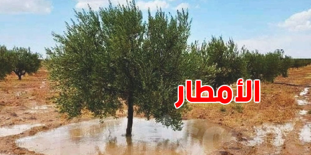 خبر يفرّح التوانسة: بشائر الخير مازالت متواصلة في أفريل