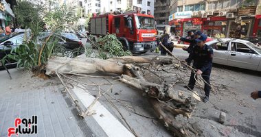 إصابة طفل سقطت على دراجته شجرة بسبب الطقس فى قنا