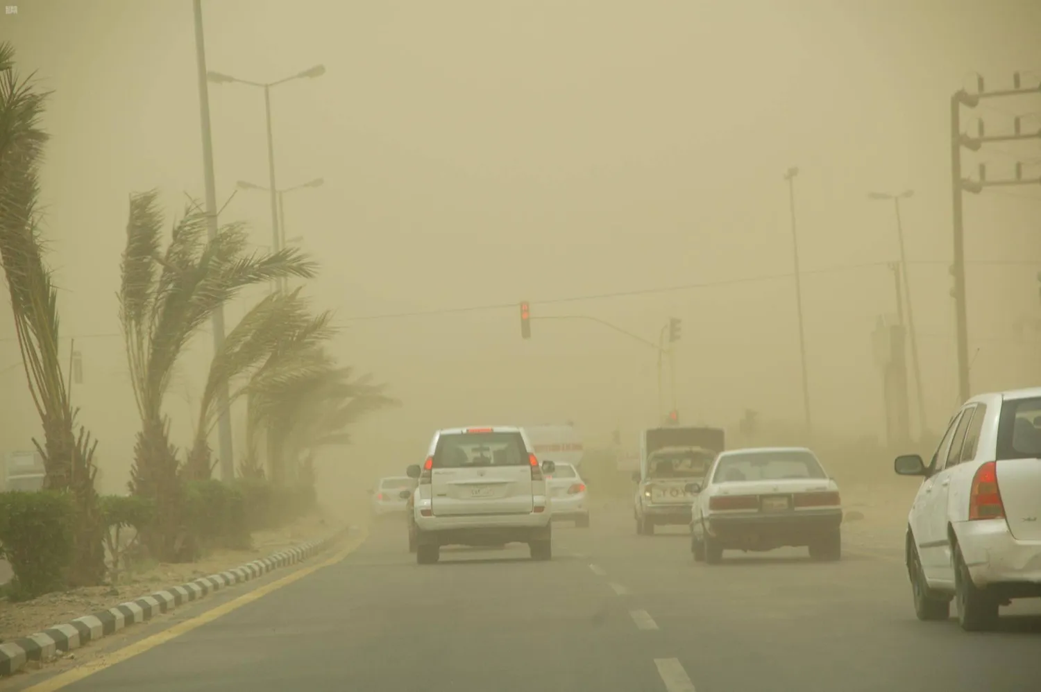 «المركز الإقليمي للعواصف»: المملكة تسجل 43 ساعة من النشاط الغباري خلال يوم أمس الاثنين