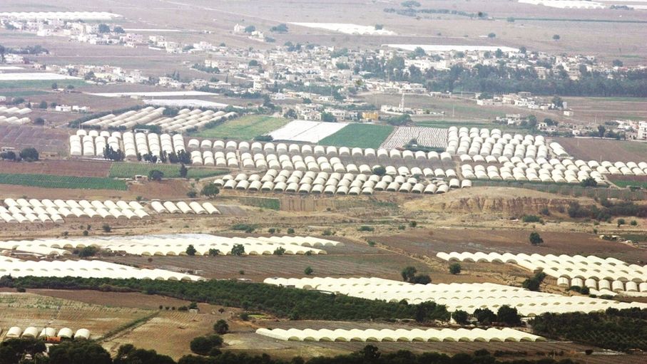 دعوات لتعزيز تشاركية مكونات القطاع الزراعي