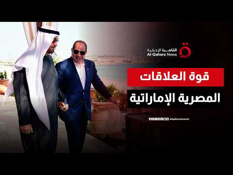الرئيس المصري ونظيره الإماراتي يؤكدان ضرورة استمرار العمل المشترك في ظل التحديات القائمة
