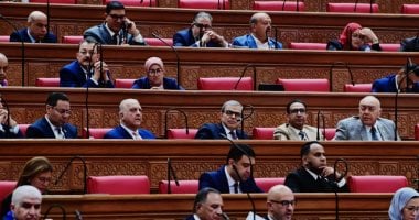 رئيس الشؤون العربية بالنواب: مصر تقف مع الشرعية الليبية وتدعم مسار الانتخابات