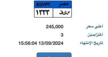 تعرف على إجراءات الحصول على لوحة معدنية للسيارات إلكترونيا