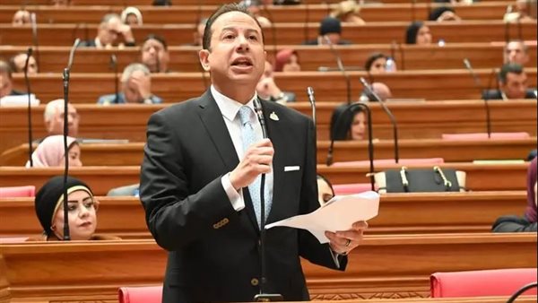 النائب حسن عمار: استمرار ارتفاع فوائد الدين يهدد قدرة الموازنة العامة على مواجهة الأزمات