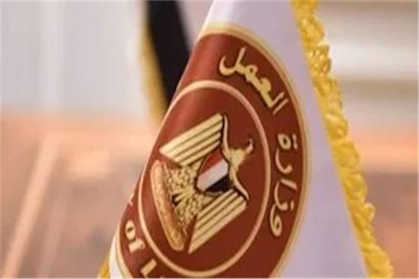 300 فرصة جديدة لجميع المؤهلات بالإسماعيلية.. اعرف الشروط وطريقة التقديم