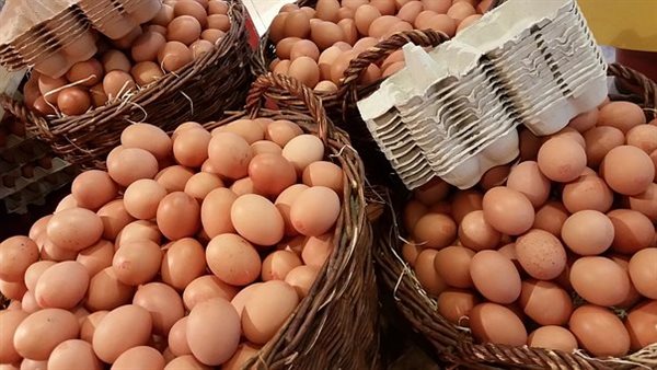 سعر كرتونة البيض اليوم الثلاثاء في بورصة الدواجن
