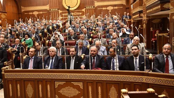 "الشيوخ" يناقش مقترح للإسراع بتشكيل المجالس المحلية