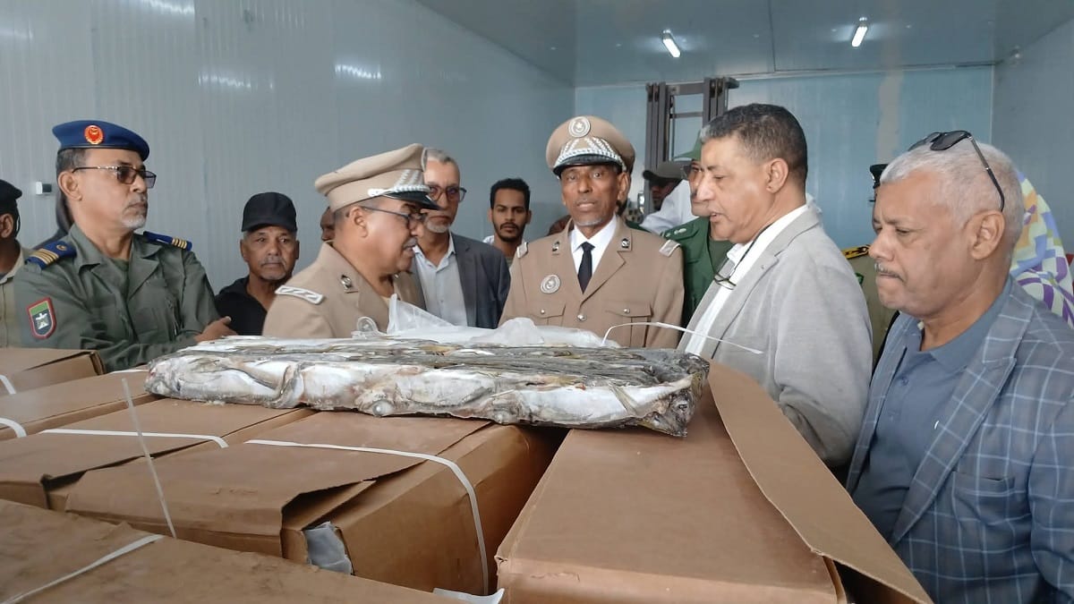 توزيع 15 طنا من الأسماك على فقراء نواذيبو