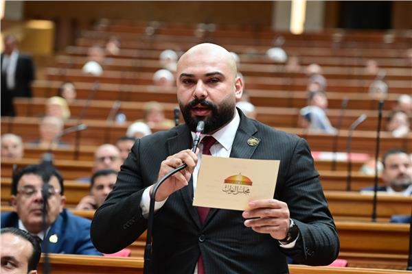 برلمانى: تحويل القرى لمراكز إنتاج خطوة جديدة لاستكمال أهداف "حياة كريمة"