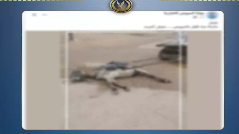 الداخلية تكشف كواليس نفوق دابة بالسويس