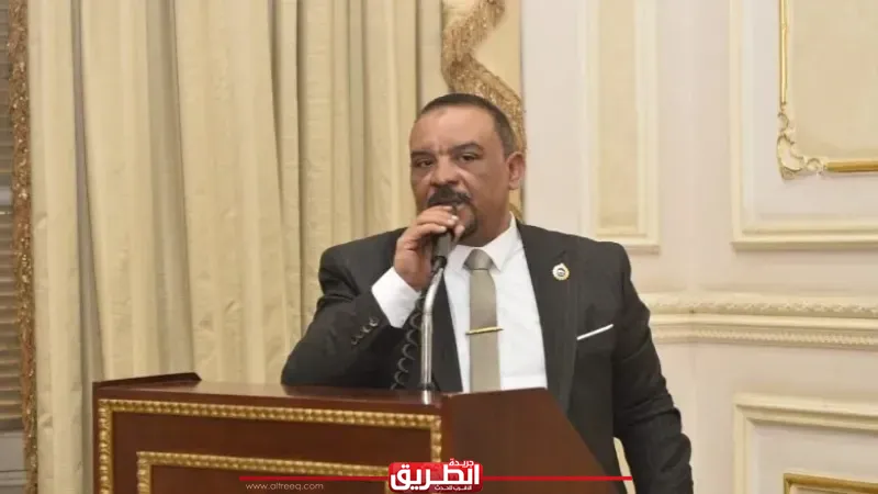 برلماني: مصر تقود معركة التهدئة في المنطقة.. وتحركات السيسي أغلقت أبواب الانزلاق إلى الفوضى