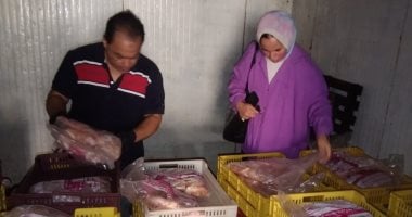 ضبط طن و350 كجم دواجن فاسدة بمجزر غير مرخص بالمحلة