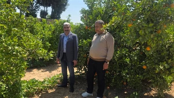 الزراعة: إزالة 27 حالة تعدٍّ وأنشطة إرشادية مكثفة لدعم المزارعين