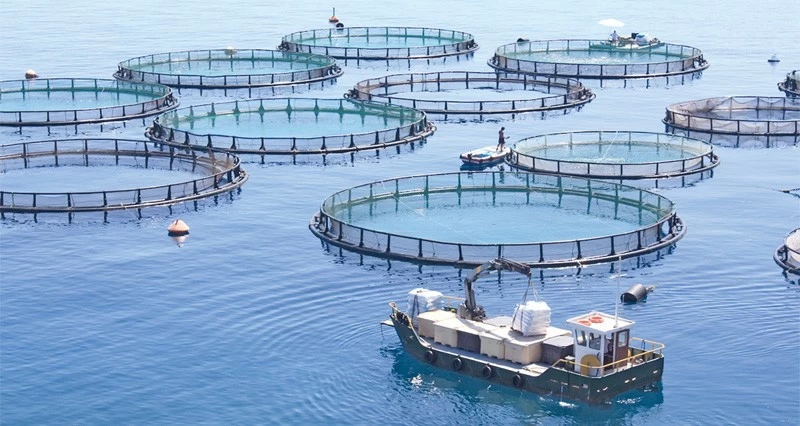 طرح حزمة من الفرص الاستثمارية النوعية فـي قطاع الأمن الغذائي