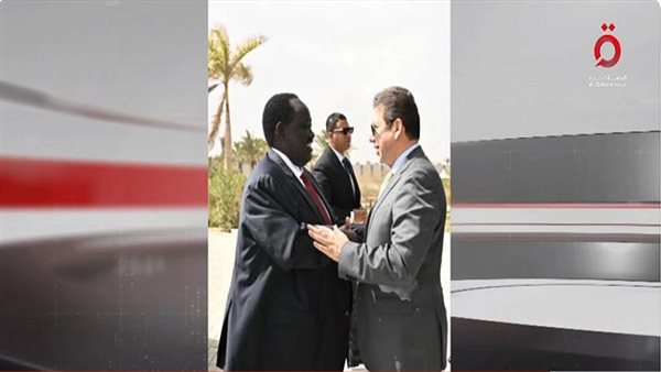 مصر وجنوب السودان تؤكدان التعاون لحل الأزمات الإقليمية السلمية| فيديو