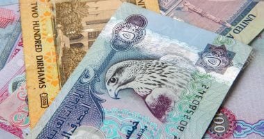 الدرهم الإماراتي مستقر أمام الجنيه الجمعة 29