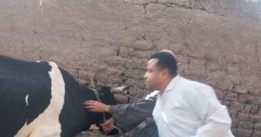 كيف تهزم الرقابة البيطرية بكتيريا السل؟