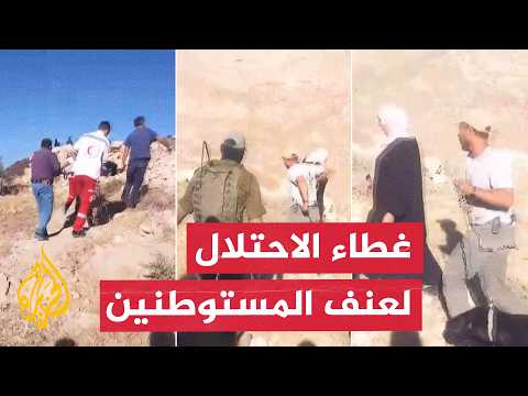 Painful Testimonies: How Does the Occupation Army Protect Settler Attacks in the West Bank?