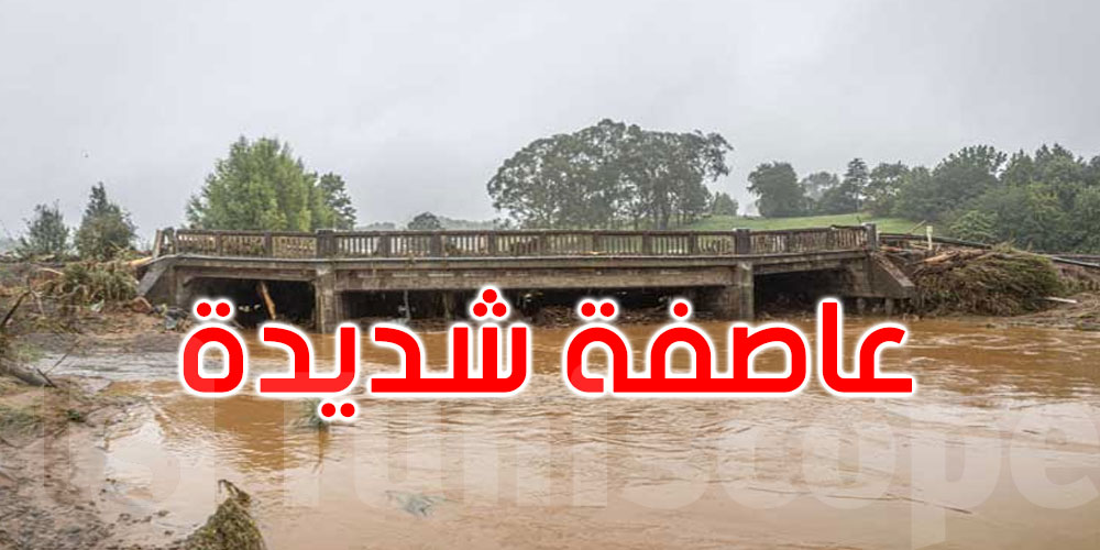 نيوزيلندا: عاصفة شديدة تعطل الرحلات الجوية وتقطع الكهرباء عن الآلاف