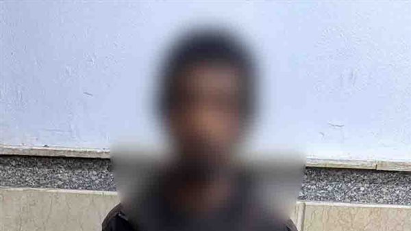 الأمن يكشف تفاصيل فيديو متداول عن محاولة سرقة عقار بالإسماعيلية