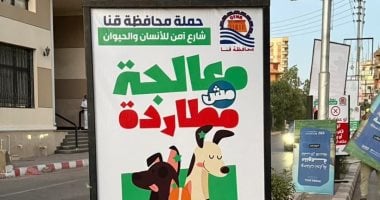 قنا تبدأ حملة ميدانية لنشر ثقافة التعامل السليم مع الكلاب الضالة